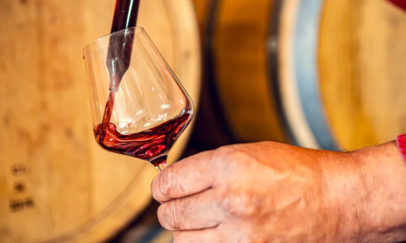Bouteilles du Domaine d'Aubigny — Mercurey Premier Cru, Rully et Bourgogne